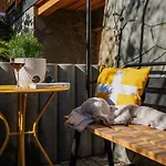 Tamok Lifestyle Apartamento Zakopane