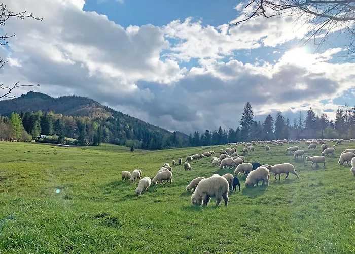 Tamok Lifestyle Apartamento Zakopane